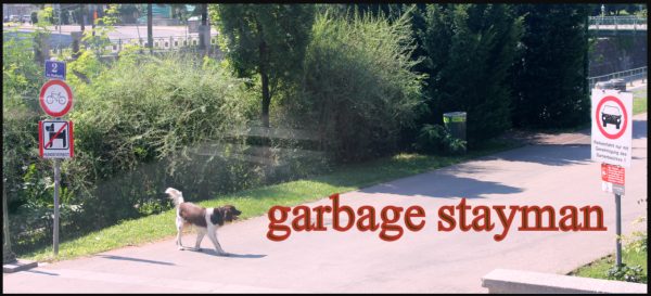 קונבנציית Garbage Stayman