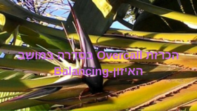 הכרזת Overcall בסדרה במושב האיזון-Balancing