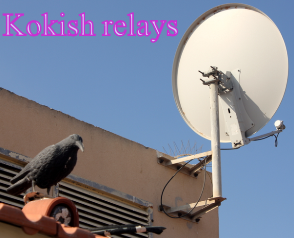 Ask Sally: קונבנציית Kokish relays