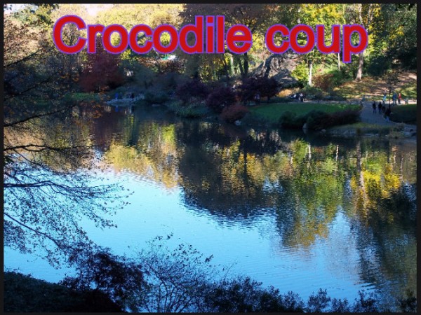 Crocodile coup